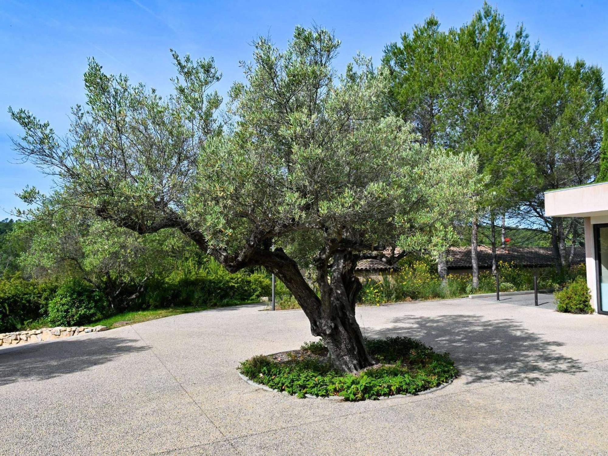 Mercure Brignoles Golf De Barbaroux & Spa Eksteriør billede